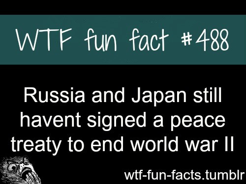 Fun facts :) - meme