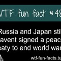 Fun facts :)