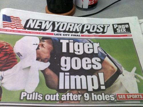 Tiger's Wood goes limp. - meme