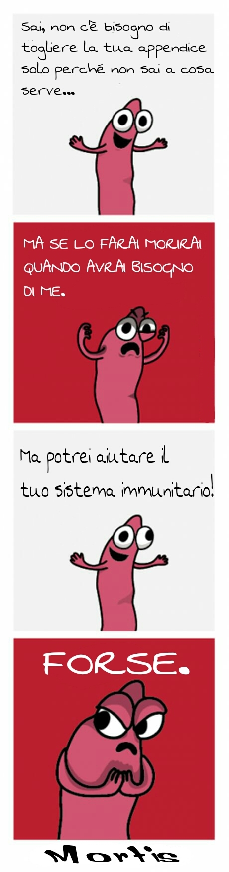 BIG RITORNO DI MORTISSIA - meme
