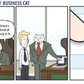 business cat :D