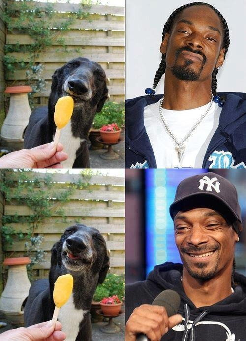 Snoop anda chido -w- - meme