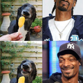Snoop anda chido -w-