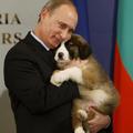 Vladimir Putin hugging a puppy