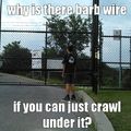 why barb wire?