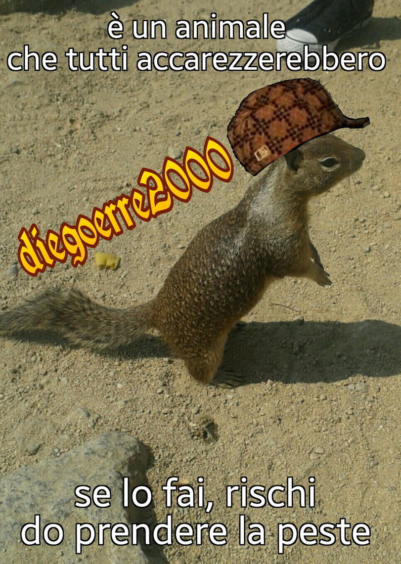 scumbag scoiattolo americano - meme