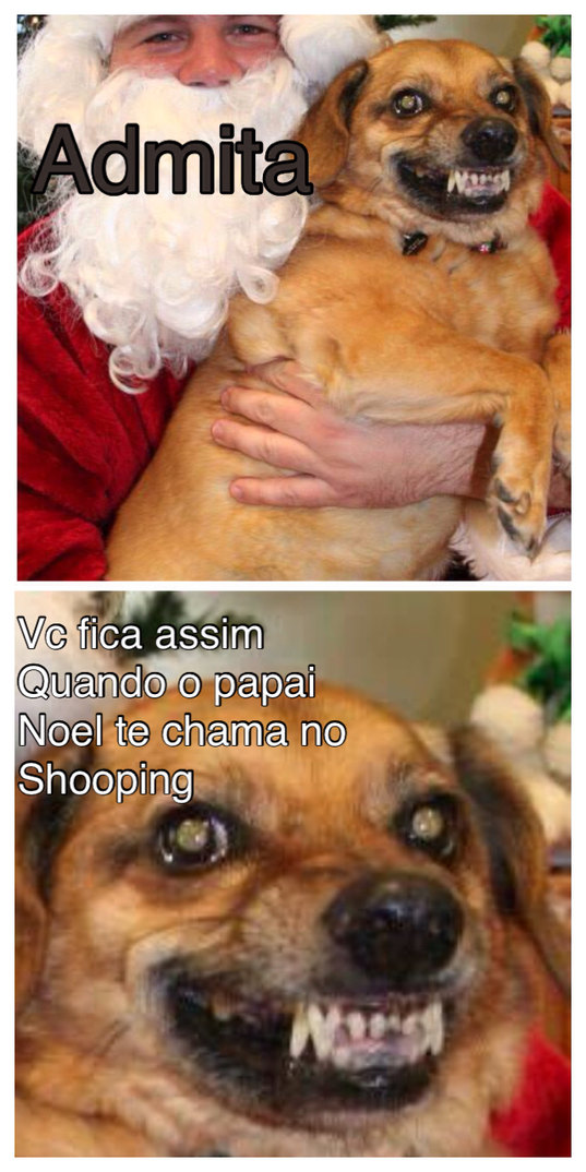 Dalhe bicuda na cara do cão KKKKKKKKKK #memes #tentenaorir #sonhos # significado #natal #anonovo 