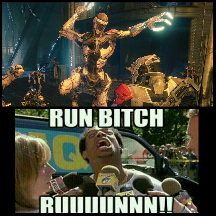 Run bitch Ruuun - meme