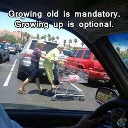 Growing old vs growing up - meme