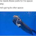 Space otter
