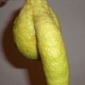 vai um limão ai?