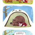 bears hibernate