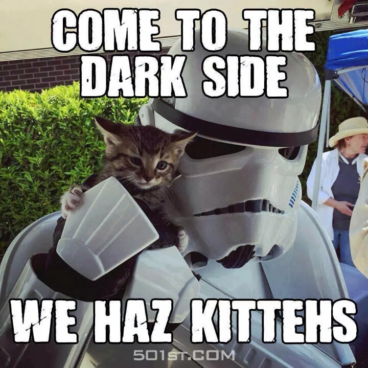 I find your lack of cuddles disturbing - meme