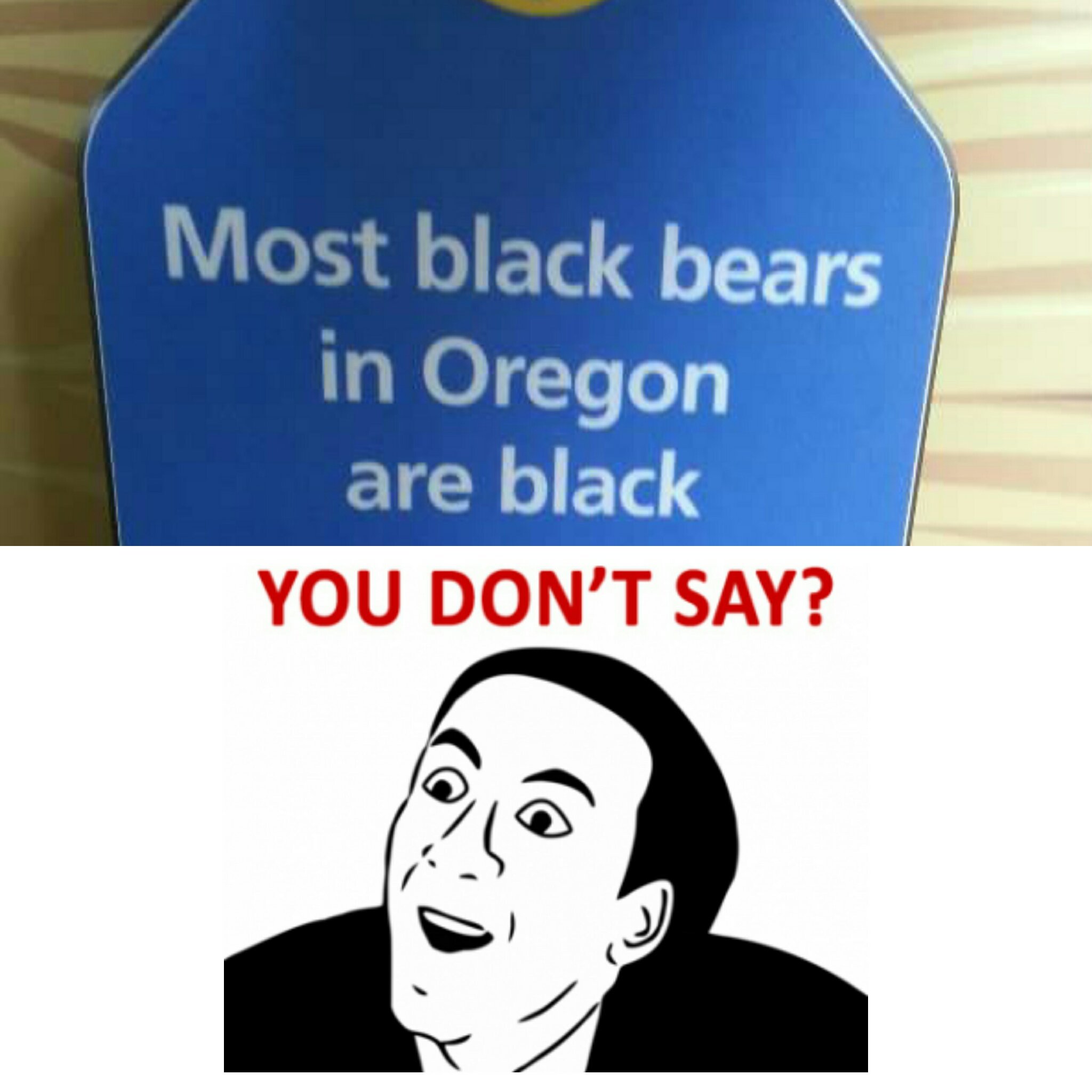 Title is a blue black bear. What color black bear are you? - meme