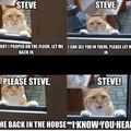 Steve please