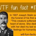 Stalin mad