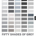 El título odia 50 sombras de Gray