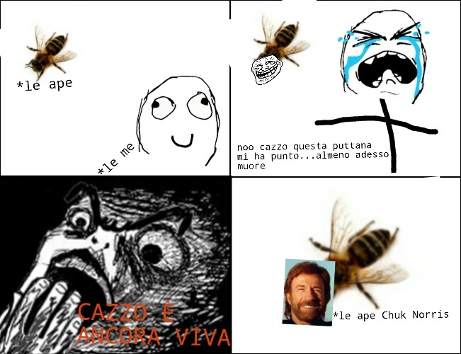 Il re delle api - meme