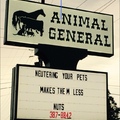 Our local vet is getting clever...