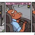 why Bulls shouldn't be allowed to drive