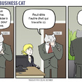 Business cat