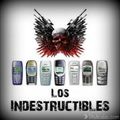 Los Indestructibles! Please Bitch