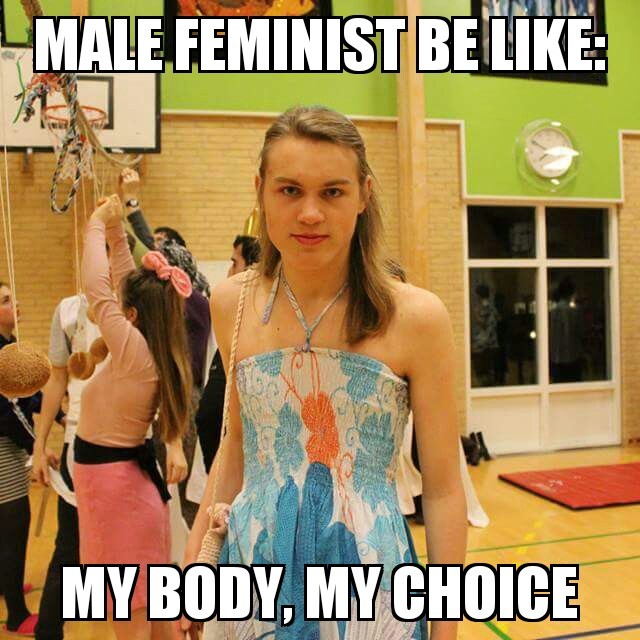 Male feminist - meme