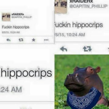 Hippocrips - meme