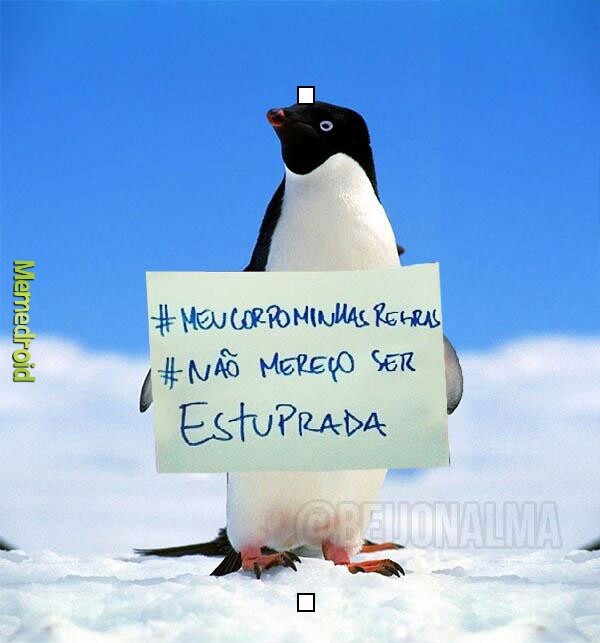 #Pinguim - meme