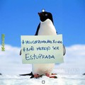 #Pinguim