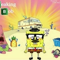 Breaking Bob