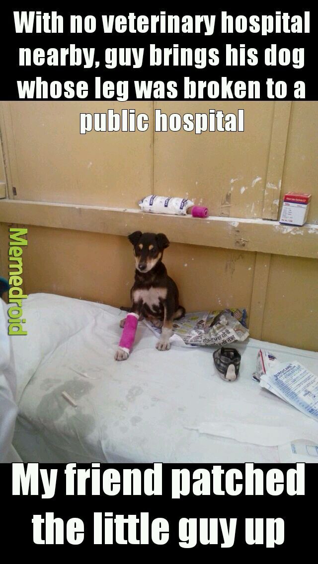 True Story - meme