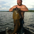 65 pound flathead catfish.. Guntersville, AL
