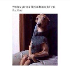 What's your most awkward moment at a friend's house when you went their for the first time? - meme