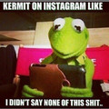Where is kermit