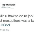 Damn mosquito's