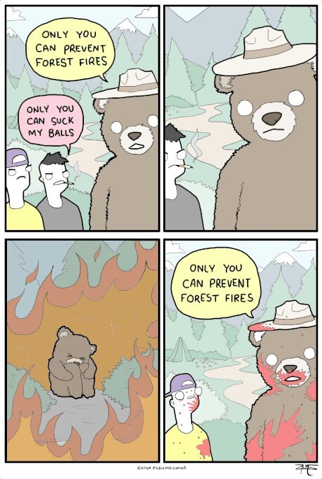 Only you can prevent forestfires - meme
