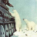 Moi jme balade posey avec mon tank entrain de nourrire mes ours polaire