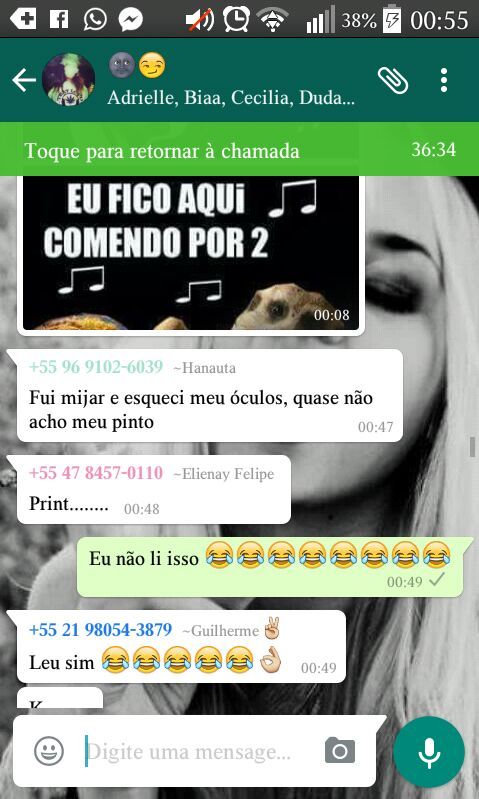 Tipos de Pintos - Pintos memes - Figurinhas para WhatsApp