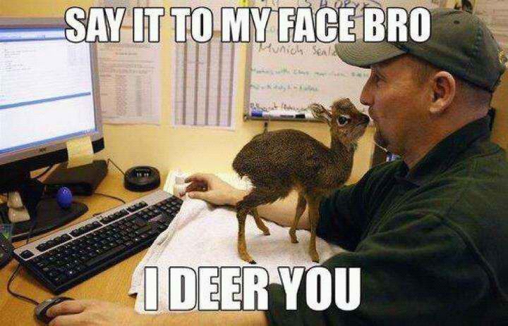 I Deer You - meme