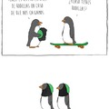 Pingüinos :)