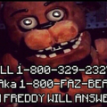 Should I call Freddy..?