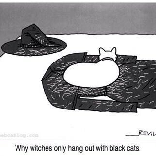 Black cats only! - meme