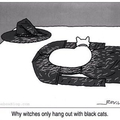 Black cats only!