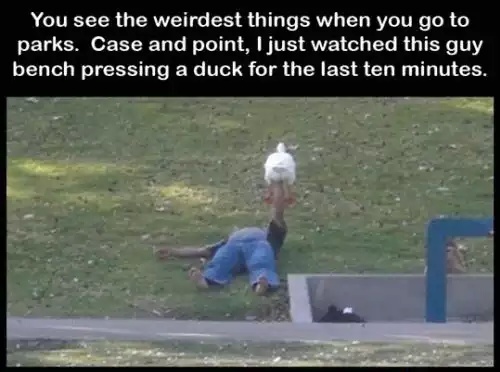 The duck was only trying to sell him some Quack - meme