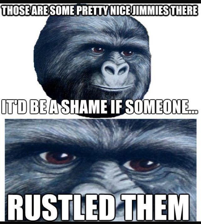 My jimmies remain rustled - meme