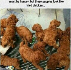 I thought they were fried chicken ▪~▪ - meme