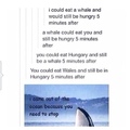 you could eat 5 minutes and still be eaten by a Hungary whale.