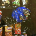 Vending machine fail