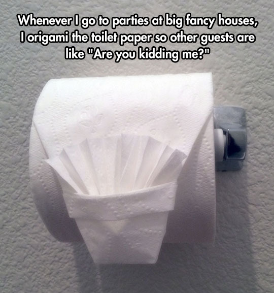 Toilet paper origami - meme